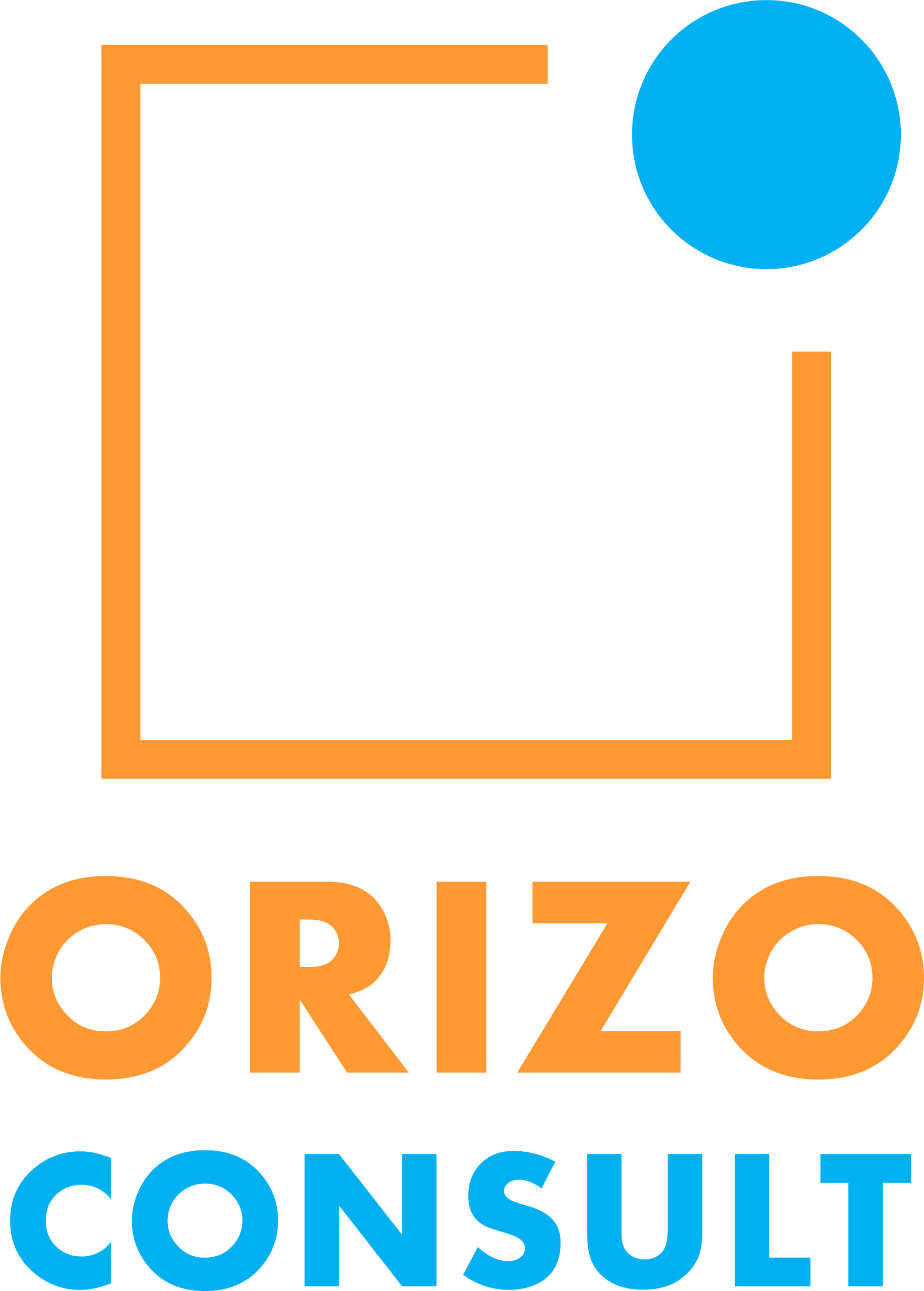 Orizo Consult logo